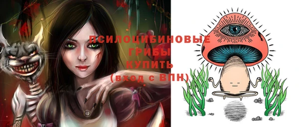 ГАЛЛЮЦИНОГЕННЫЕ ГРИБЫ Бугульма