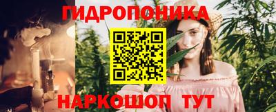 гашик Краснознаменск