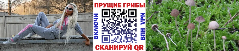 цена наркотик  Сердобск  Галлюциногенные грибы ЛСД 