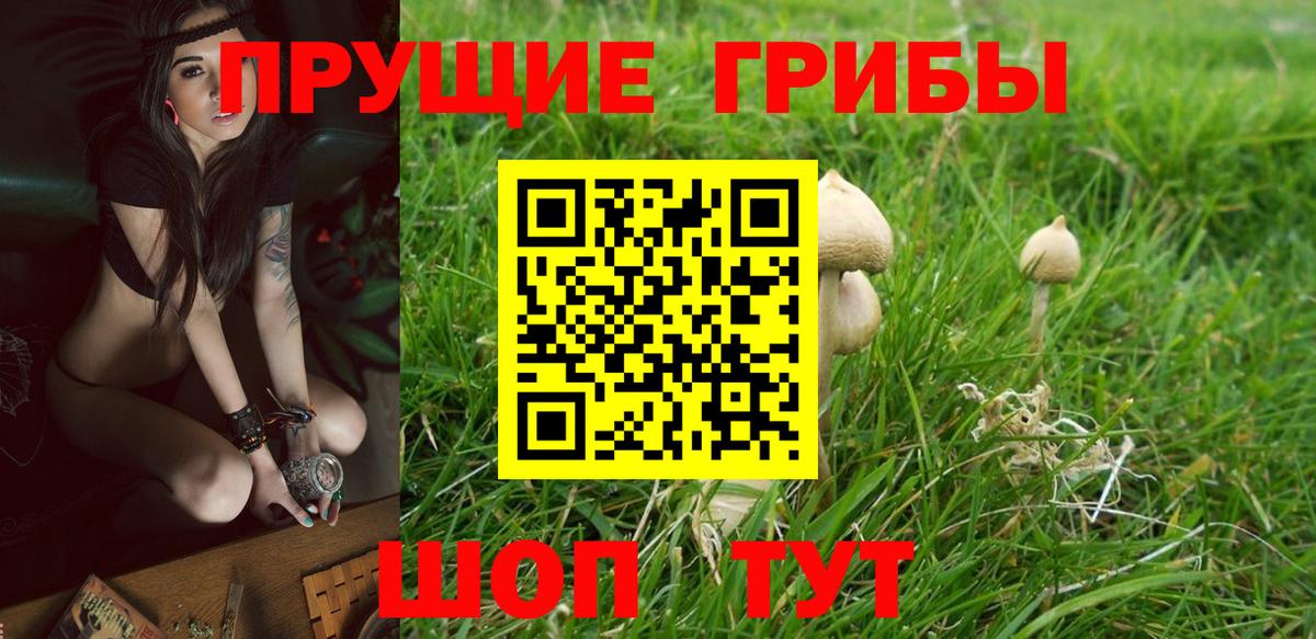 Псилоцибиновые грибы Magic Shrooms Сердобск