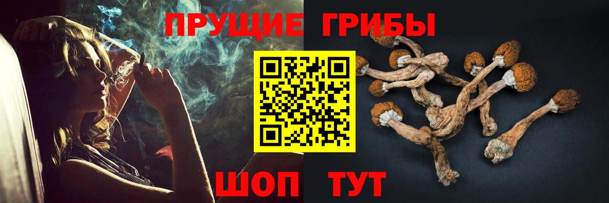 Галлюциногенные грибы Cubensis  Галлюциногенные грибы GOLDEN TEACHER  Вход с VPN  наркотики  Сердобск 