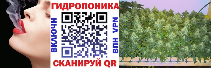 цена   Сердобск  Бошки Шишки Bruce Banner 